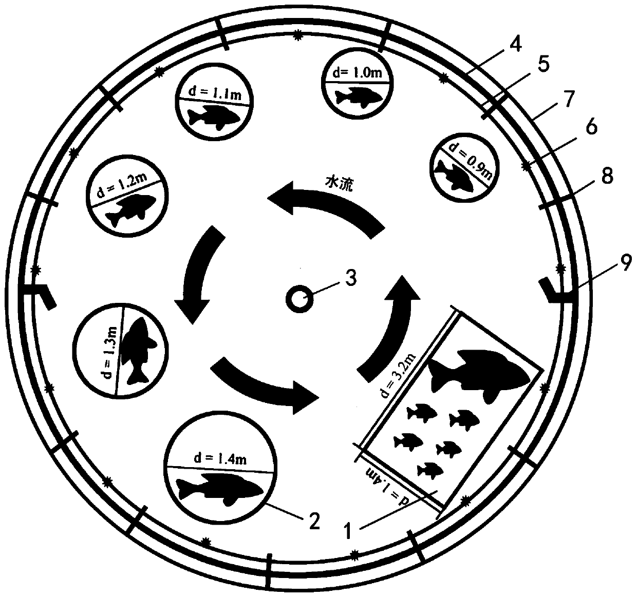 Artificial spawning induction-natural mating fertilization-floating running water embryo hatching method