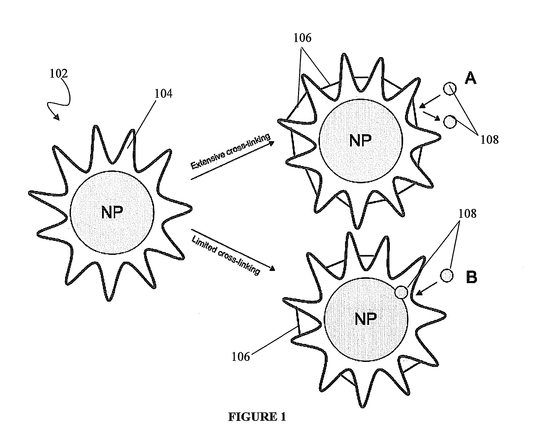 Nanoparticles confined in polyelectrolytes