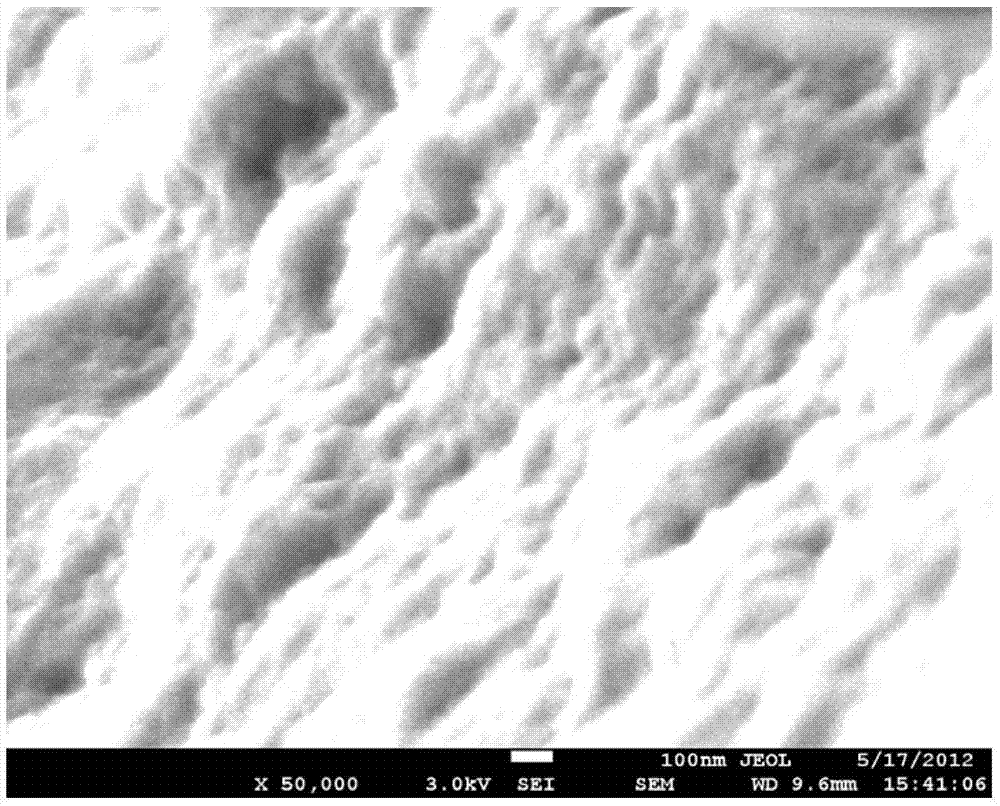 Preparation method of immobilized beta-glucosidase