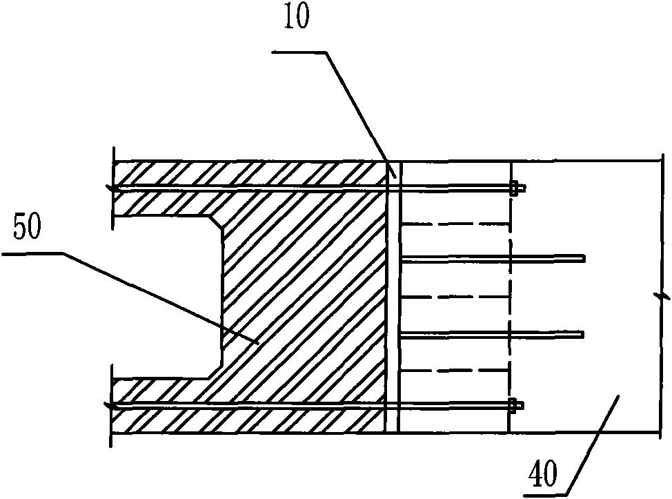 Steel-concrete joint section structure of beams