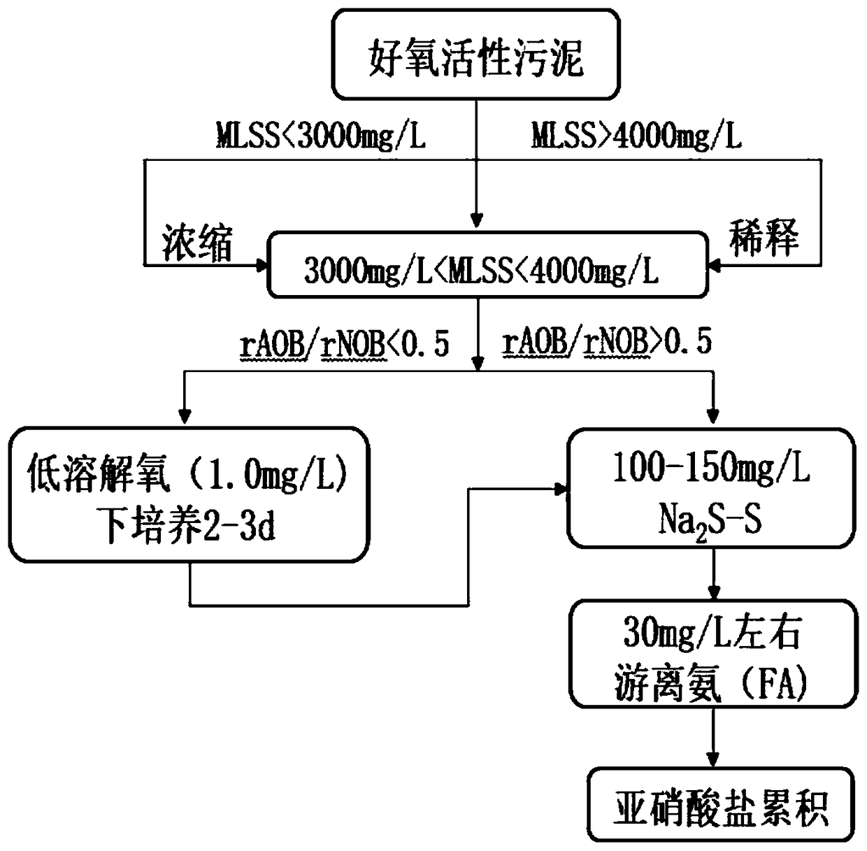 Rapid sludge culture method capable of achieving sewage nitrite accumulation