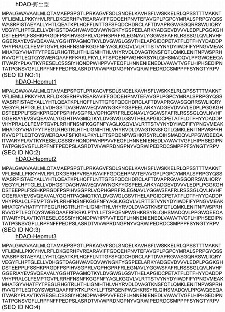 New recombinant diamine oxidase and its use for the treatment of diseases characterized by excess histamine