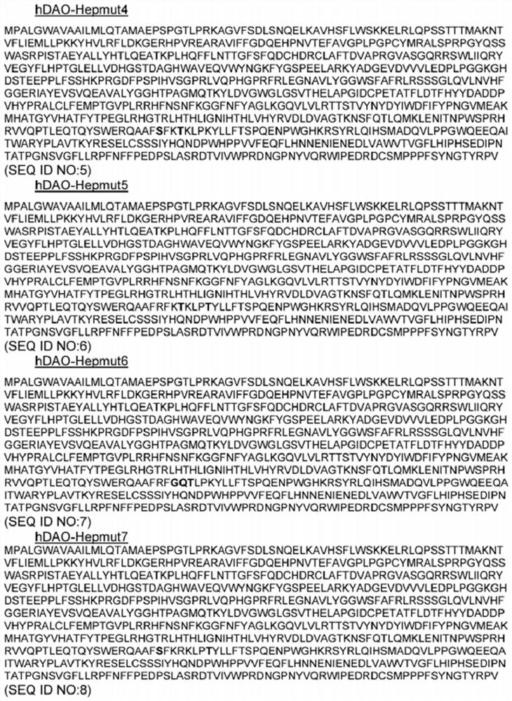 New recombinant diamine oxidase and its use for the treatment of diseases characterized by excess histamine