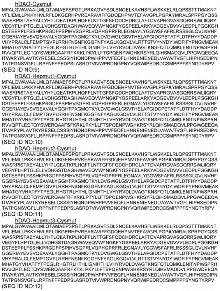 New recombinant diamine oxidase and its use for the treatment of diseases characterized by excess histamine