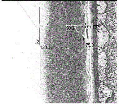 Technical method for die steel surface nonmetallic ion infiltration