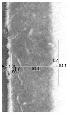 Technical method for die steel surface nonmetallic ion infiltration