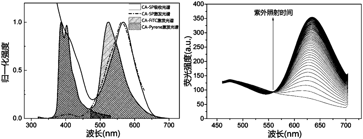 Fluorescent material and preparation method and application thereof