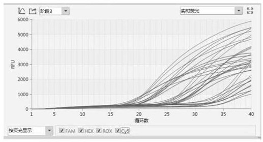 Multiplex RT-PCR (Reverse Transcription-Polymerase Chain Reaction) primer probe group for real-time fluorescent quantitative detection of four porcine diarrhea viruses, kit and detection method