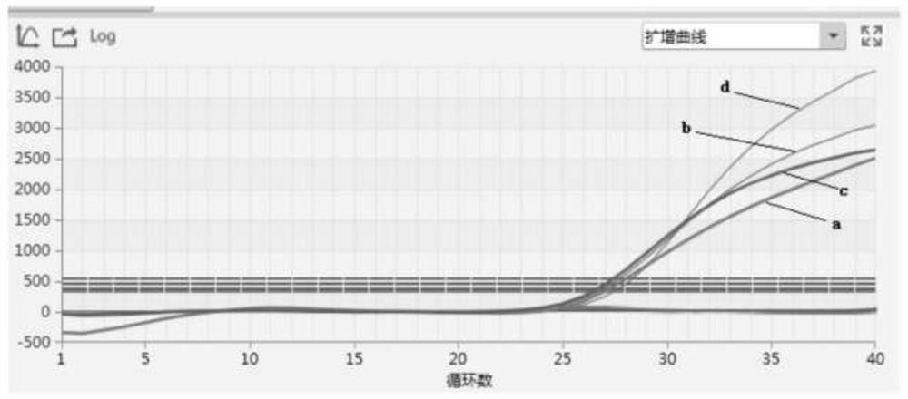 Multiplex RT-PCR (Reverse Transcription-Polymerase Chain Reaction) primer probe group for real-time fluorescent quantitative detection of four porcine diarrhea viruses, kit and detection method