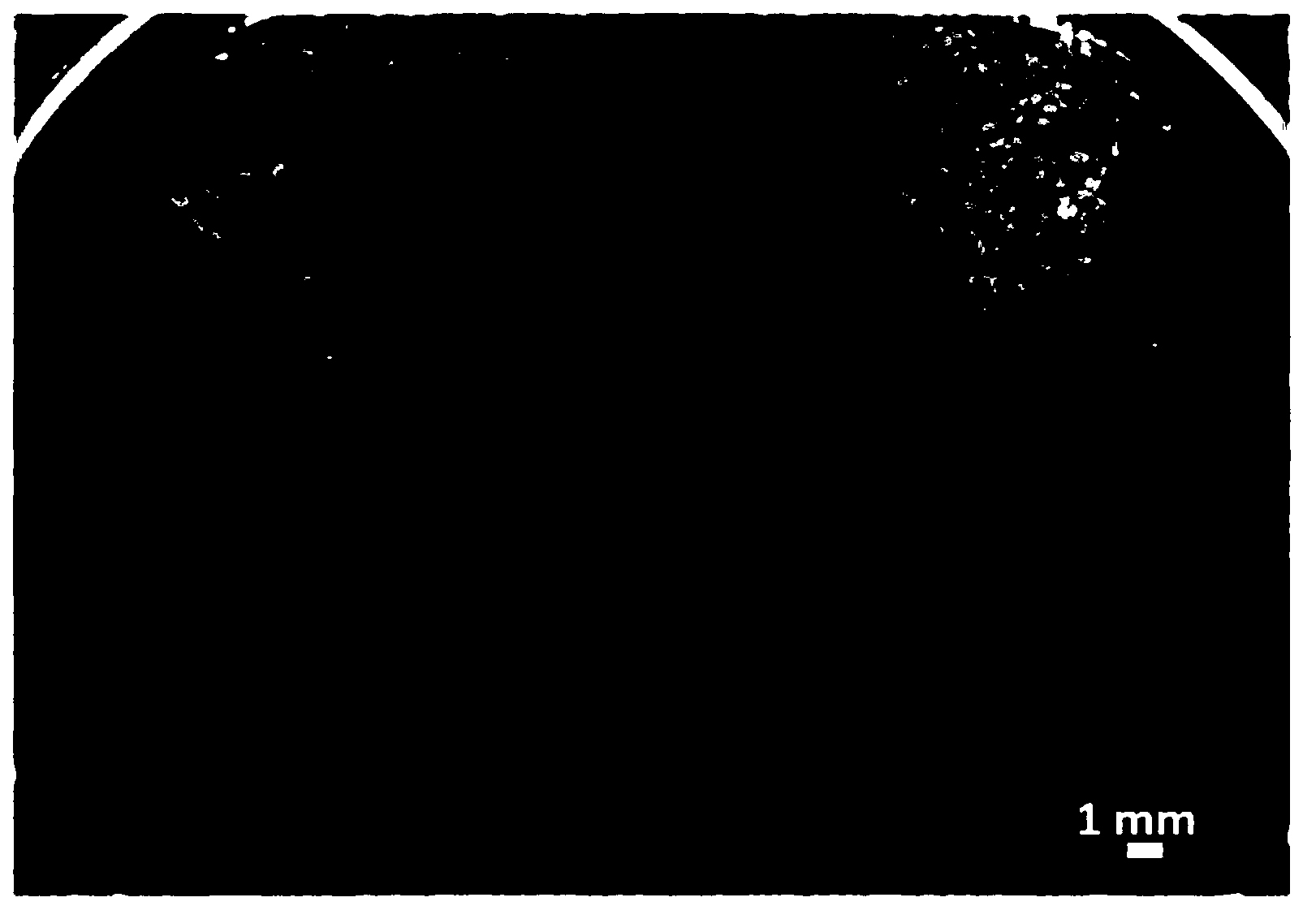 Microsphere particle hydrogel medicine carrier for injection, and preparation method and application thereof