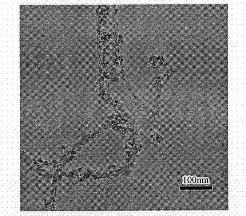 Catalyst using TiO2-coated carbon nano tube composite material as carrier and preparation method thereof