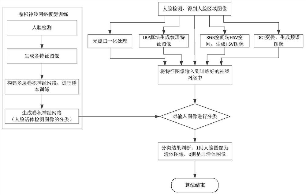 Human face living body detection method and device