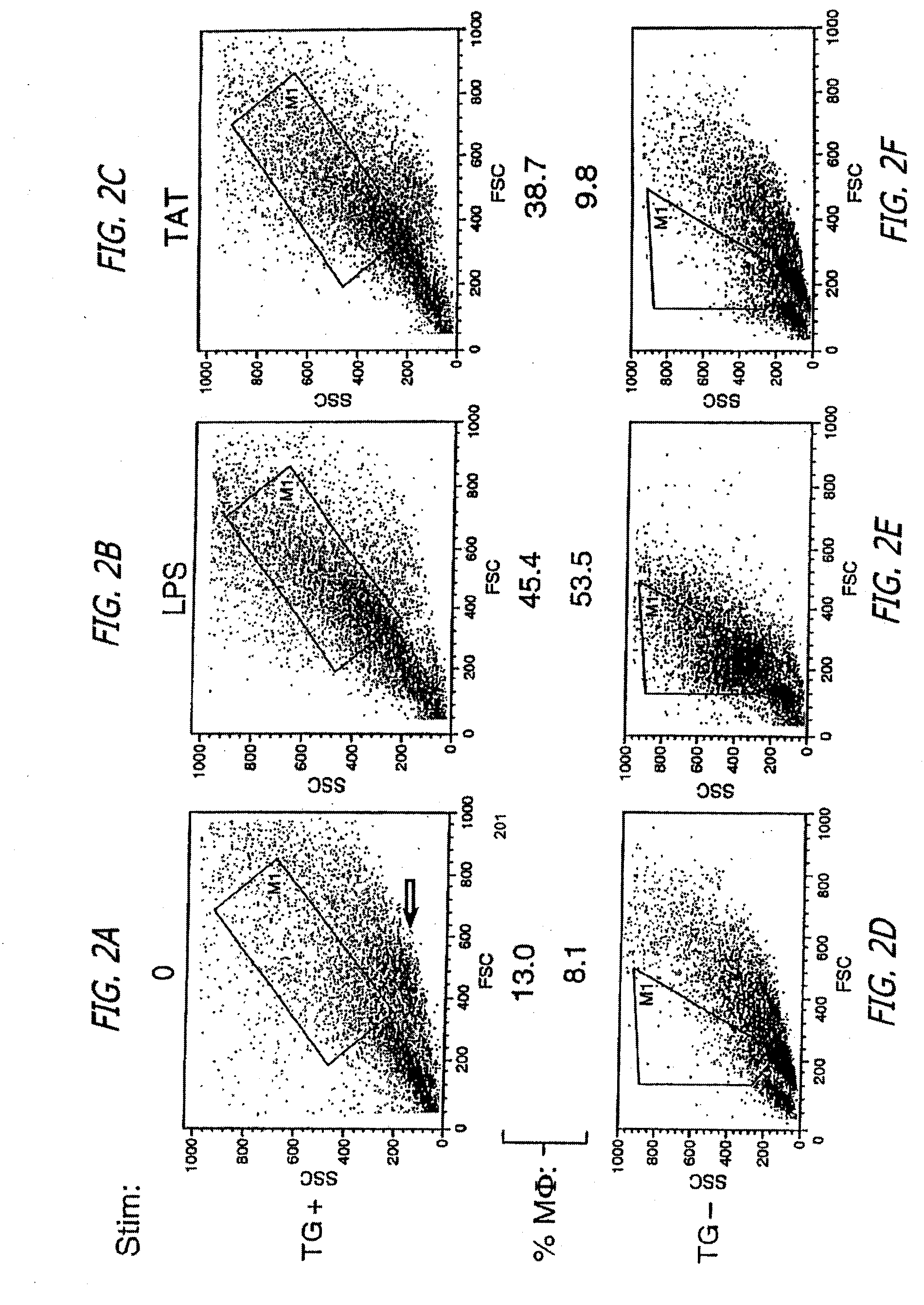 Vaccines and immunotherapeutics derived from the human immunodeficiency virus (HIV) transactivator of transcription protein for the treatment and prevention of HIV disease