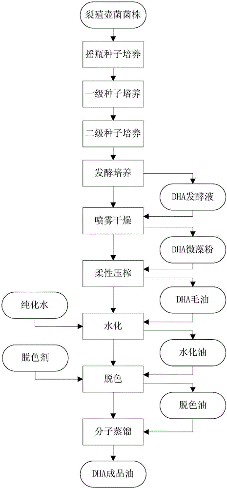 Method for producing DHA (Docosahexaenoic Acid) by utilizing microorganism fermentation