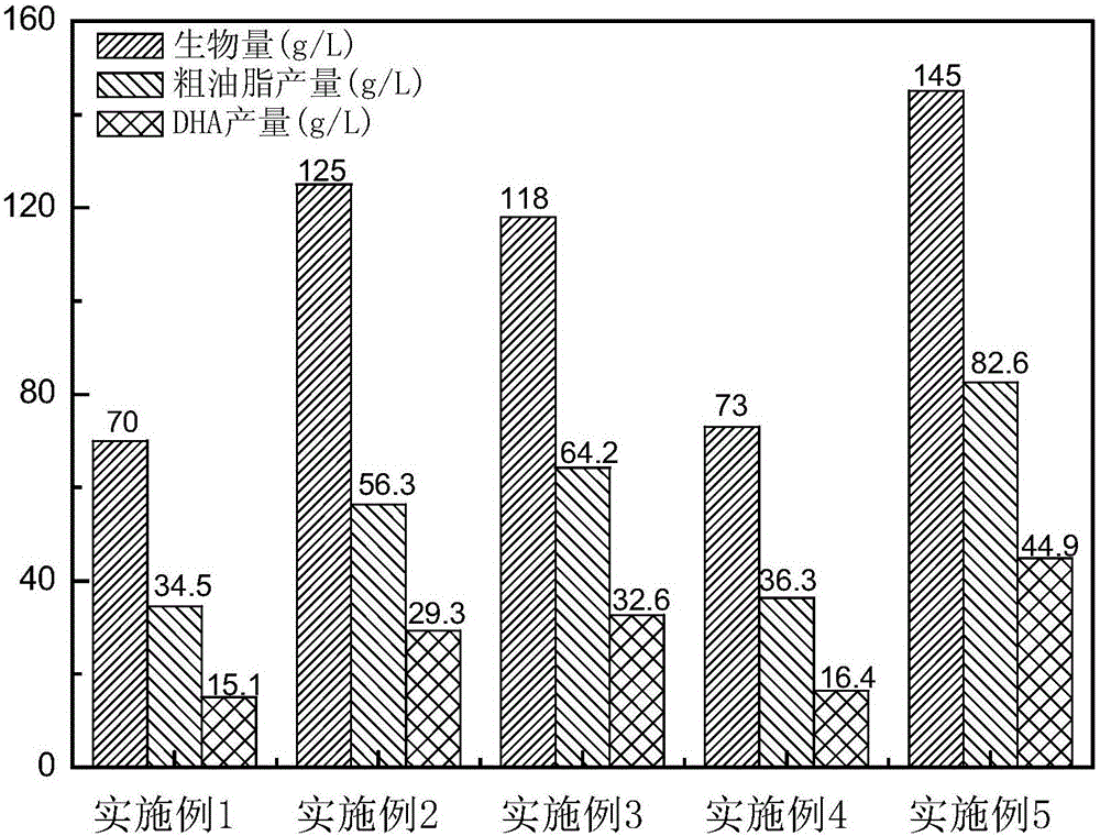 Method for producing DHA (Docosahexaenoic Acid) by utilizing microorganism fermentation