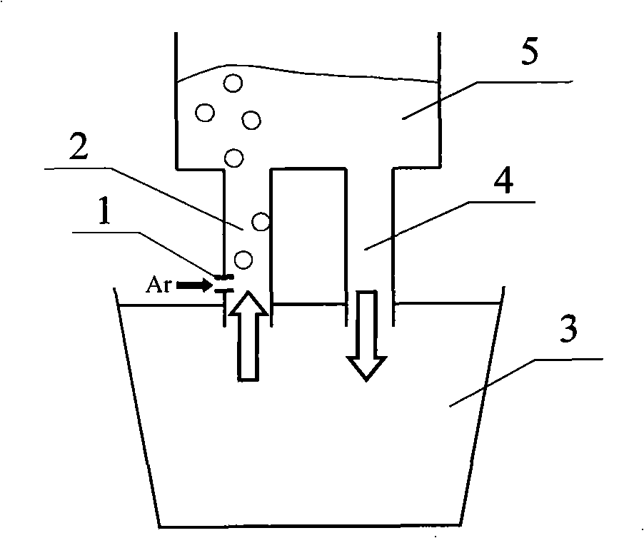 RH bottom blowing argon vacuum circulating degasser