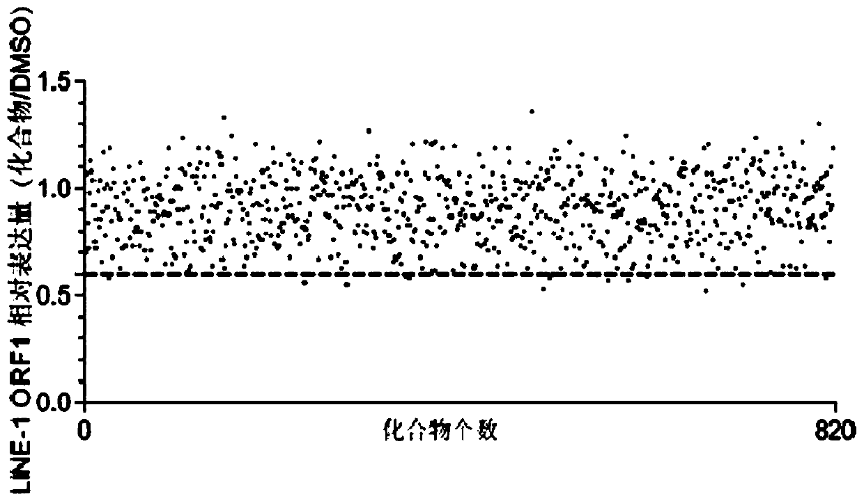 Screening model and screening method for anticancer drugs targeting LINE-1 ORF1 protein