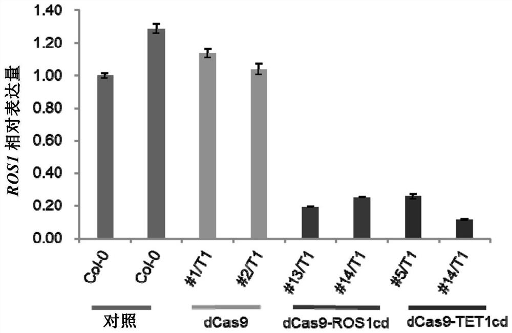 Fusion protein and application thereof