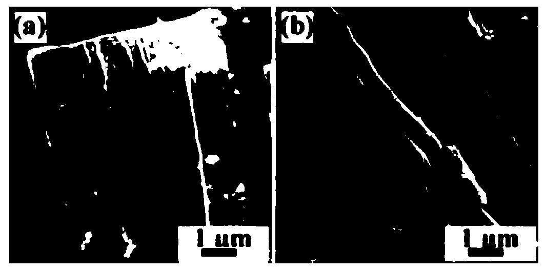 Preparation method of biomass algae-based lithium-sulfur battery positive electrode material