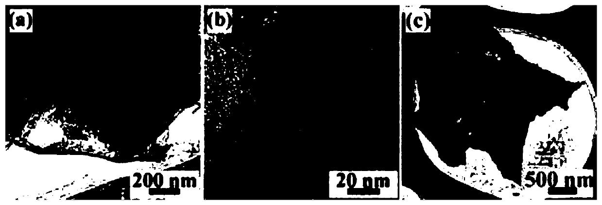 Preparation method of biomass algae-based lithium-sulfur battery positive electrode material