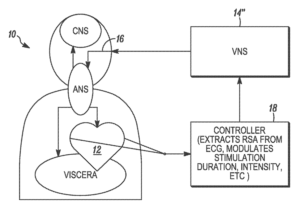 System and method for monitoring and controlling nervous system behavior using autonomic features