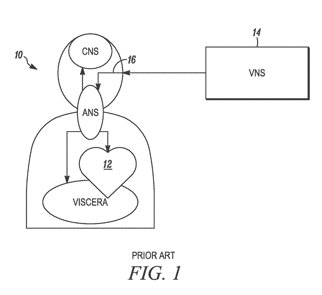 System and method for monitoring and controlling nervous system behavior using autonomic features