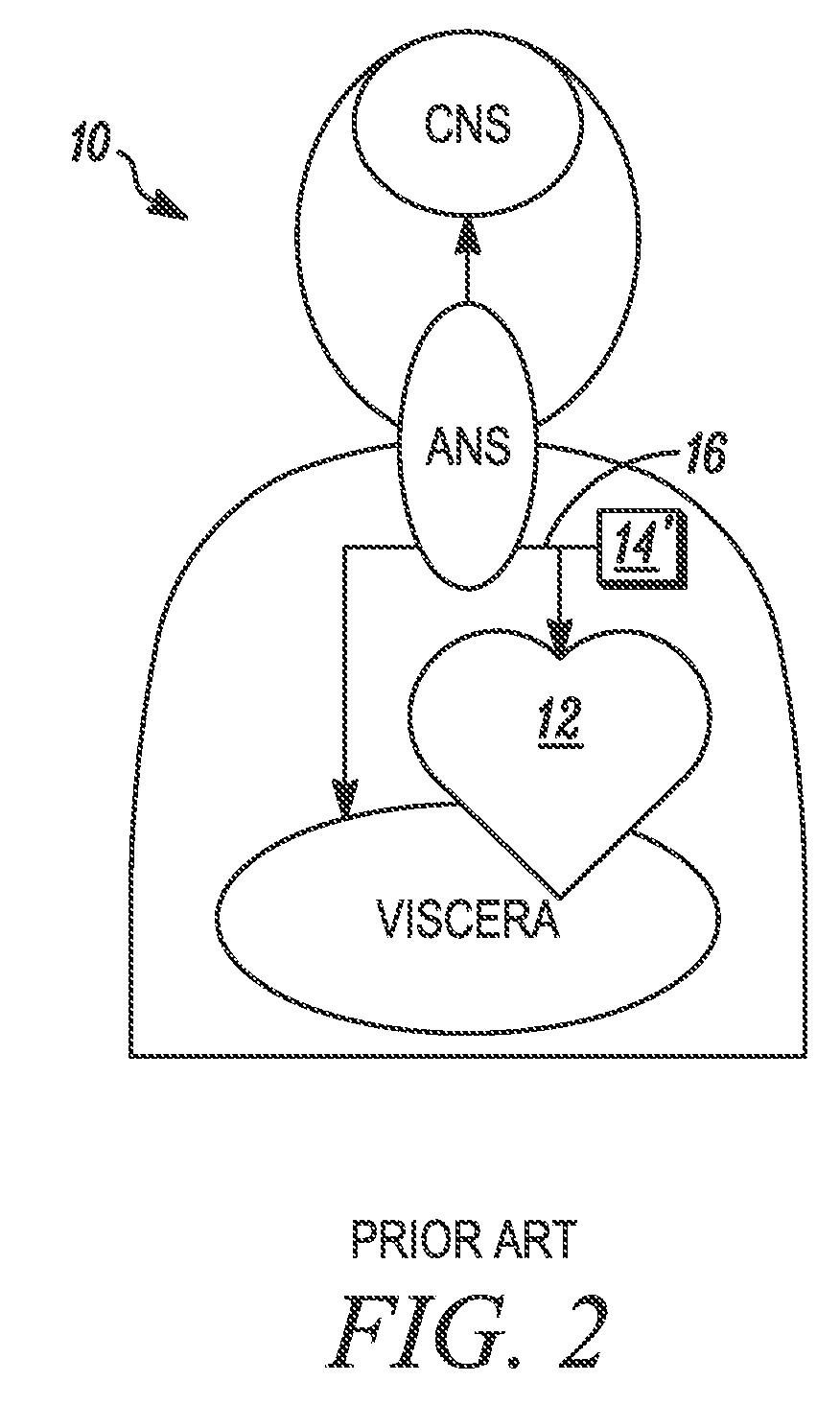 System and method for monitoring and controlling nervous system behavior using autonomic features