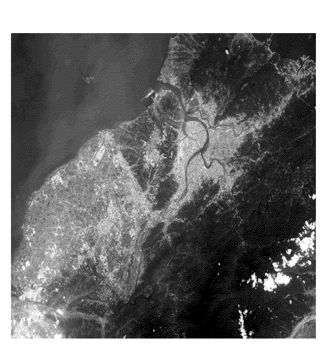 Three-dimensional positioning method