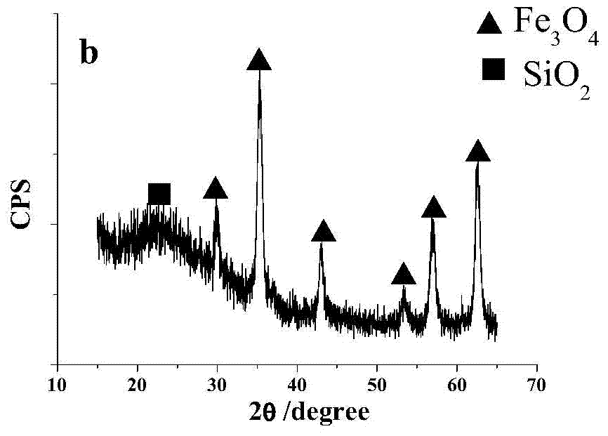 Preparation method of ferroferric oxide@silicon dioxide@zinc selenide fluorescent magnetic nanometer particles