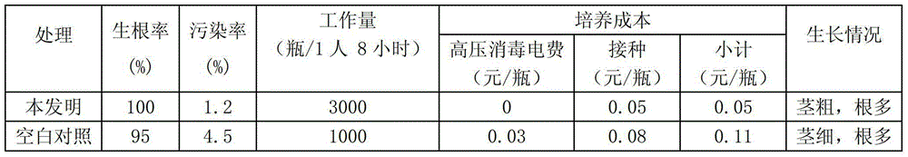 Method for rooting culture of sugarcane tissue culture seedling