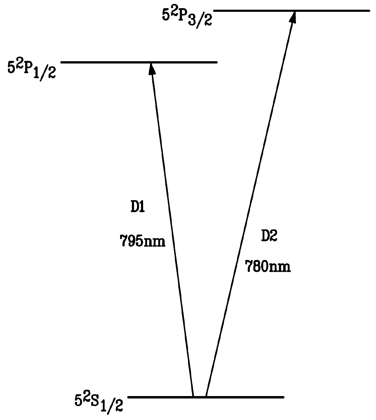 Atomic magnetometer with multiple spatial channels