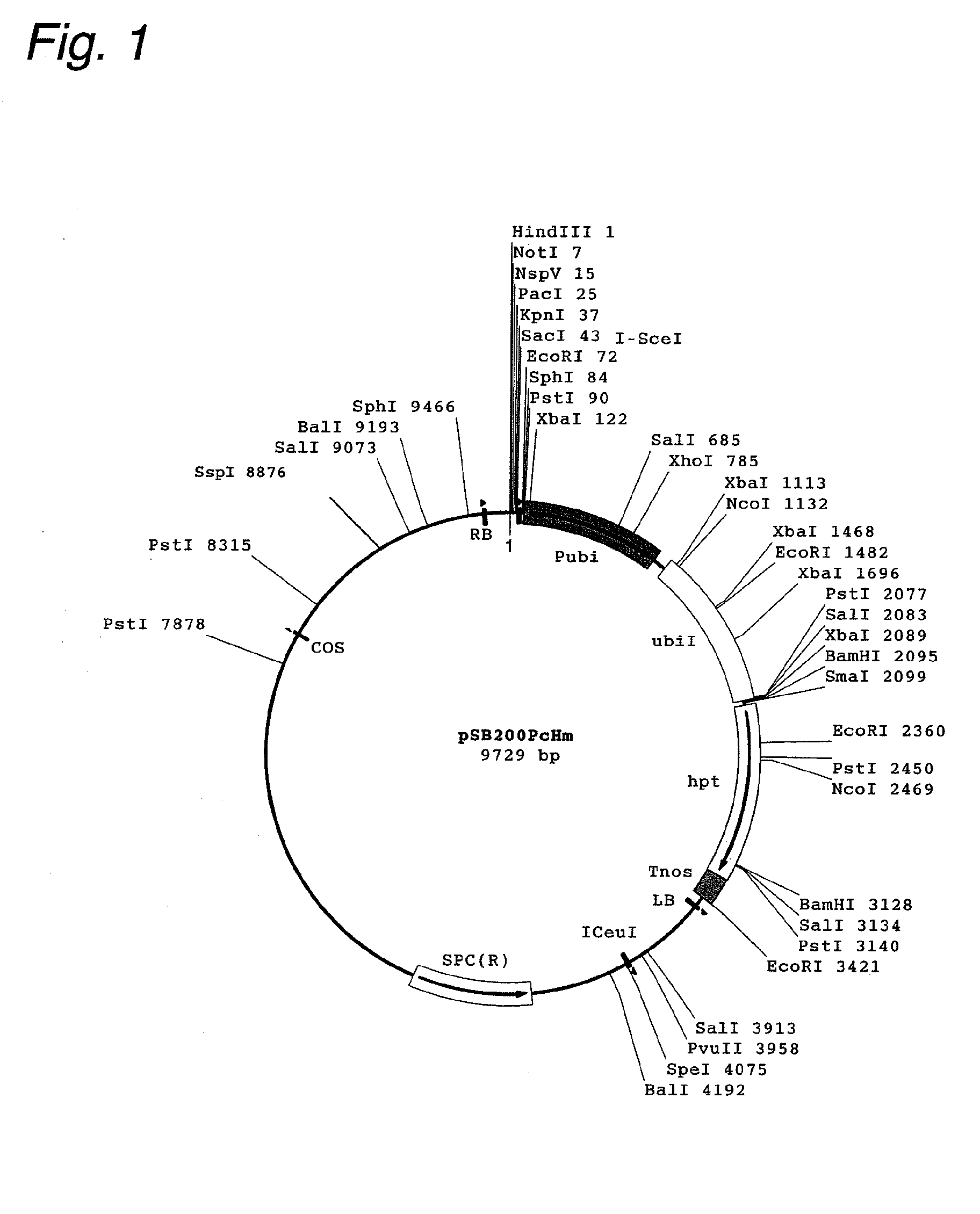 Cosmid Vector For Plant Transformation And Use Thereof