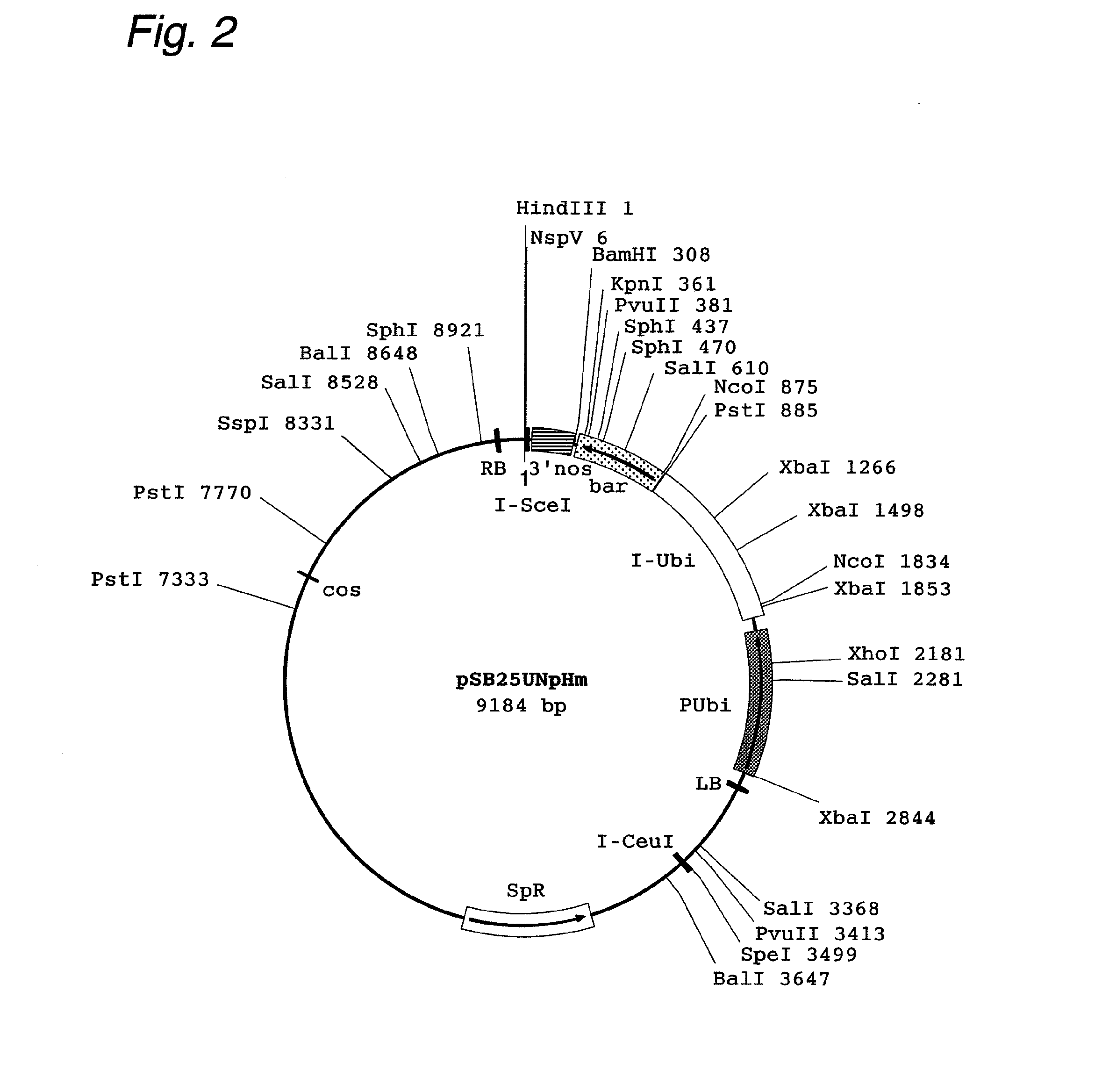 Cosmid Vector For Plant Transformation And Use Thereof