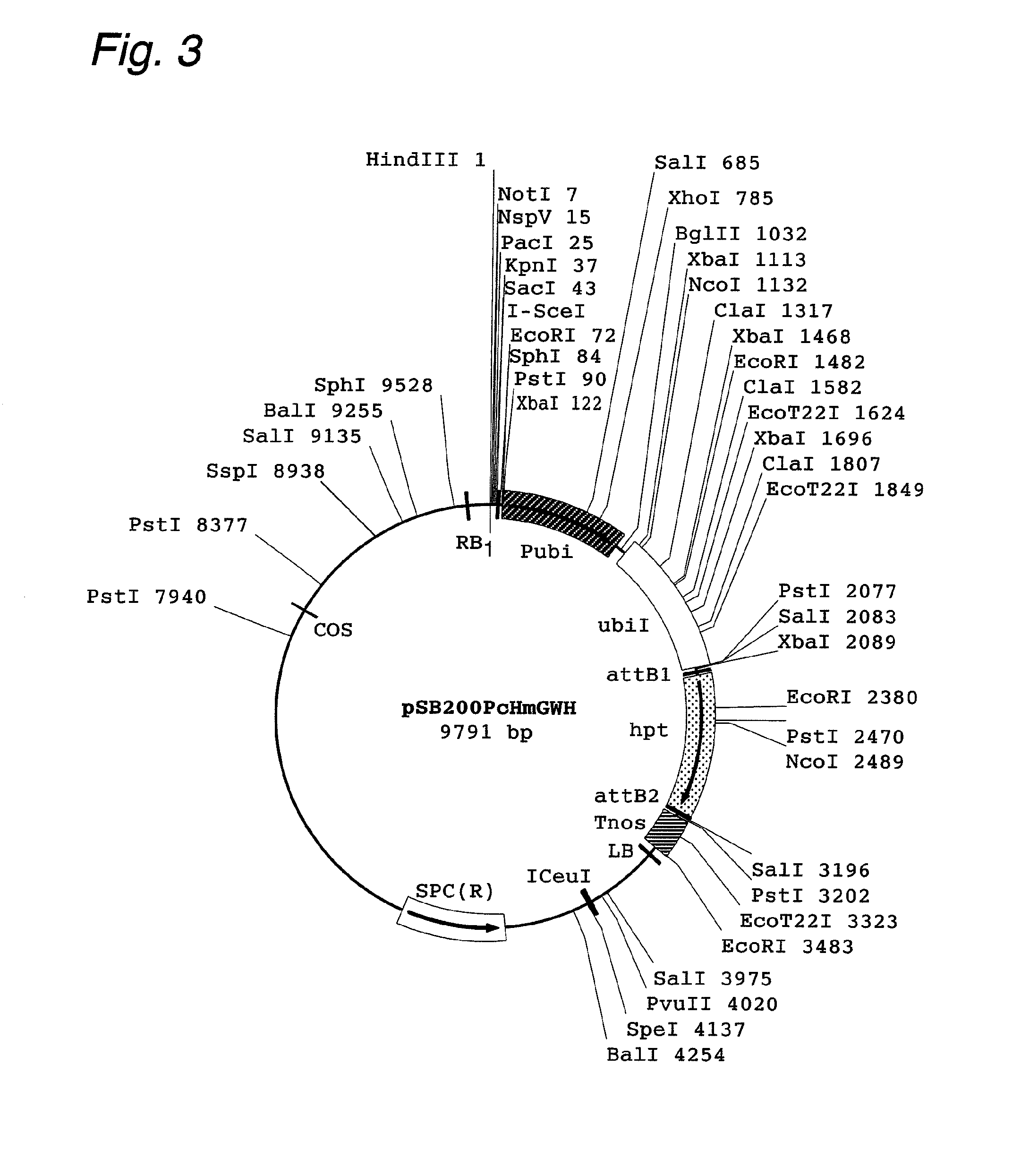 Cosmid Vector For Plant Transformation And Use Thereof