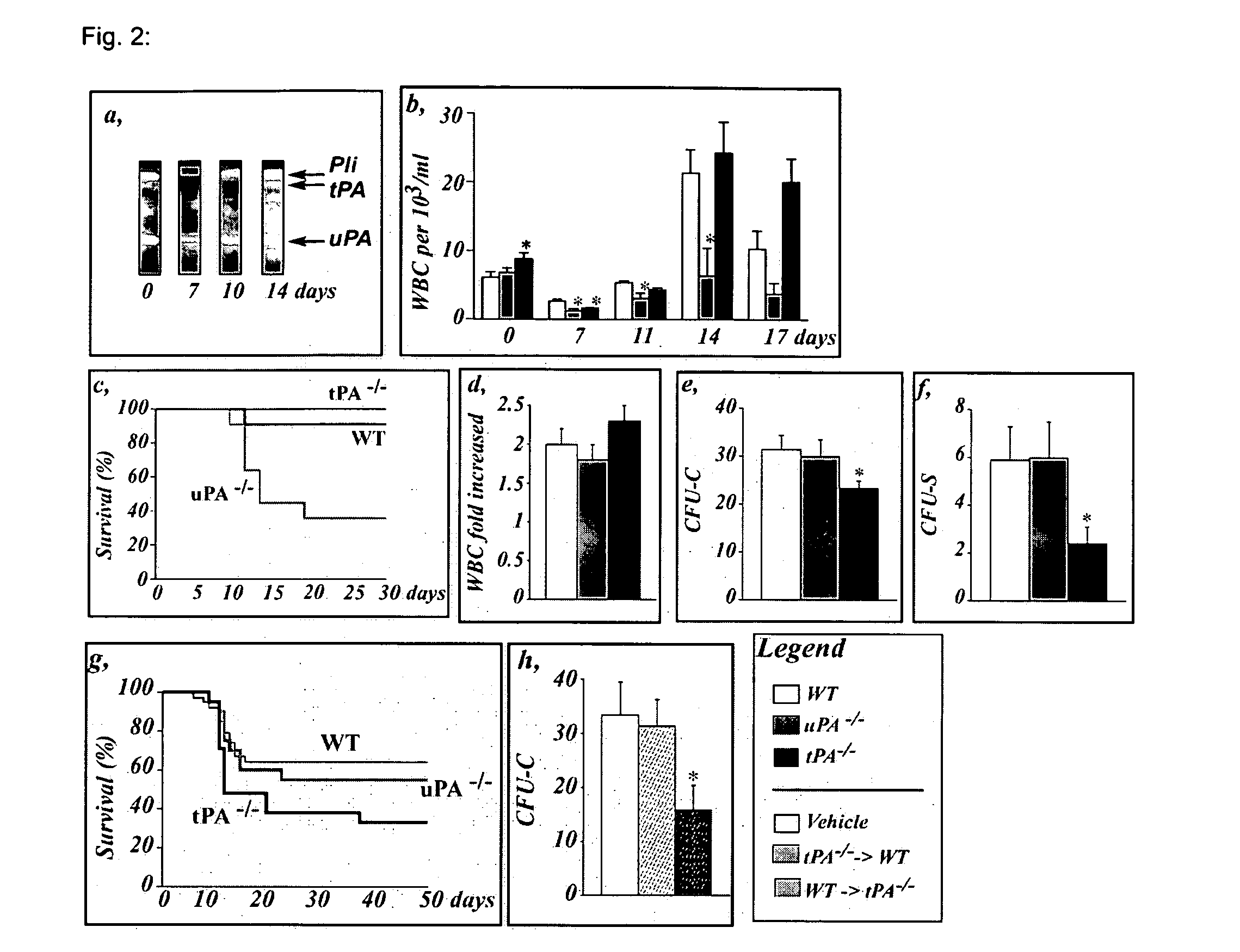 Means and methods for the recruitment and identification of stem cells