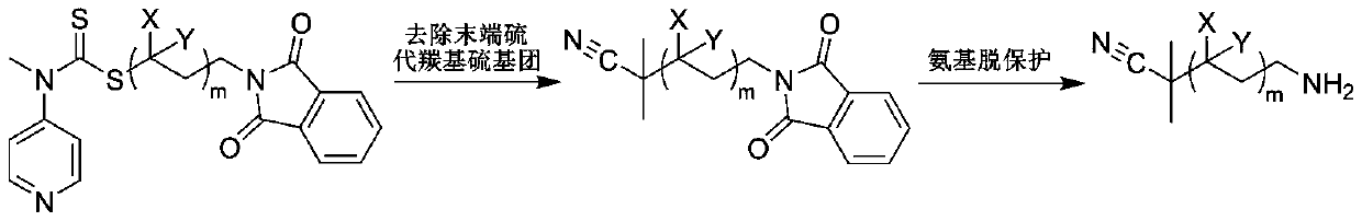 A kind of preparation method of polysarcosine block copolymer