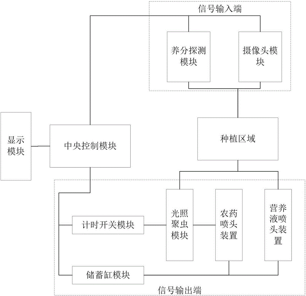 Plutella xyllostella killing system based on image recognition technology