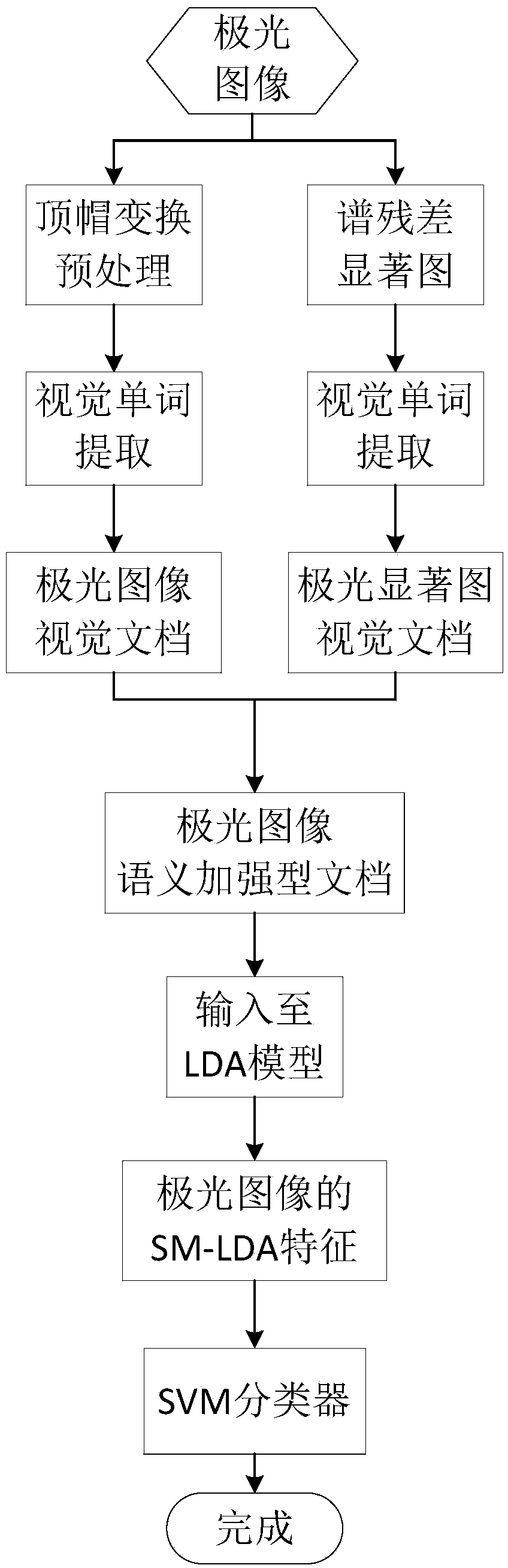 Aurora image classification method based on latent theme combining with saliency information