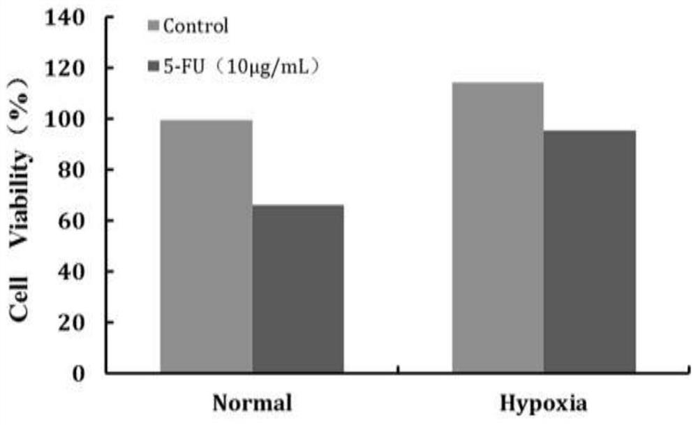 Tumor precise and personalized drug treatment method and application