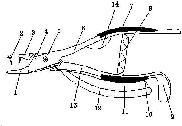 A kind of tooth extraction forceps with small pliers mouth