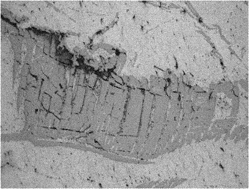 Aluminum-zirconium intermediate alloy and preparation method