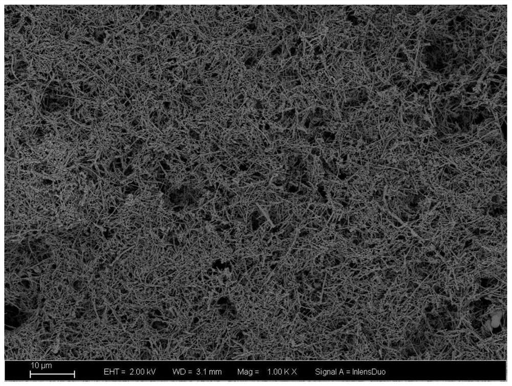 Radiation-proof flexible rubber and preparation process thereof