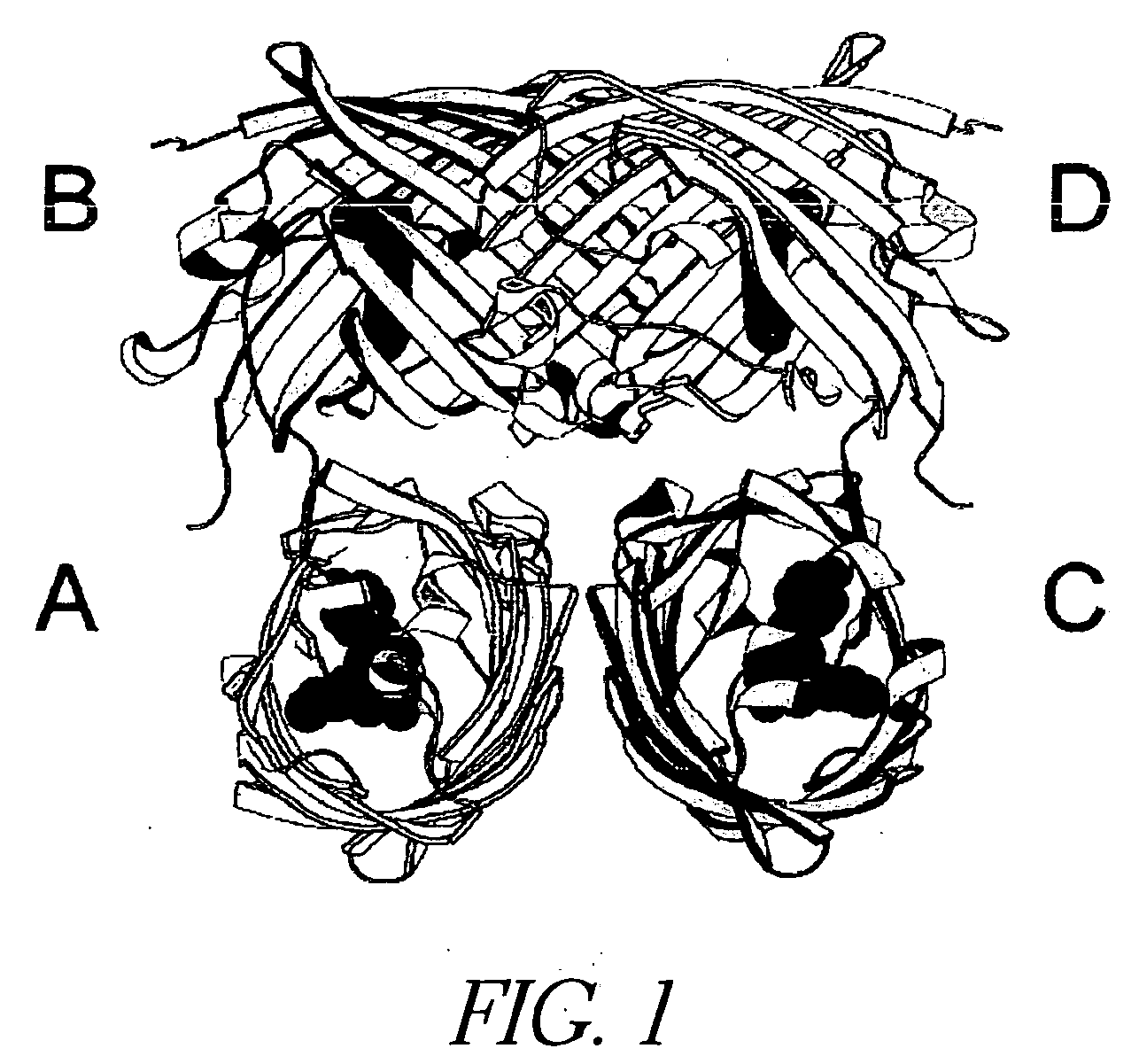 Monomeric and dimeric fluorescent protein variants and methods for making same