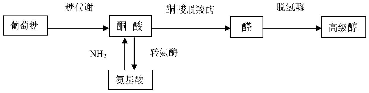 Immobilized fermentation method for controlling higher alcohol content of yellow rice wine