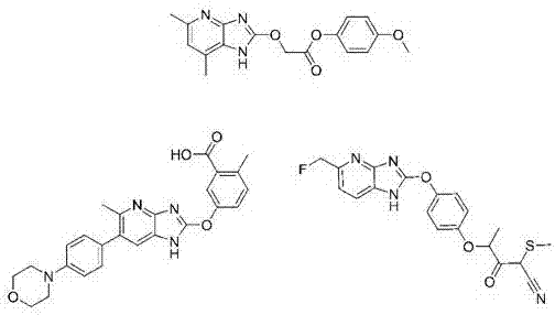 Heterocyclic derivative having ampk activating effect