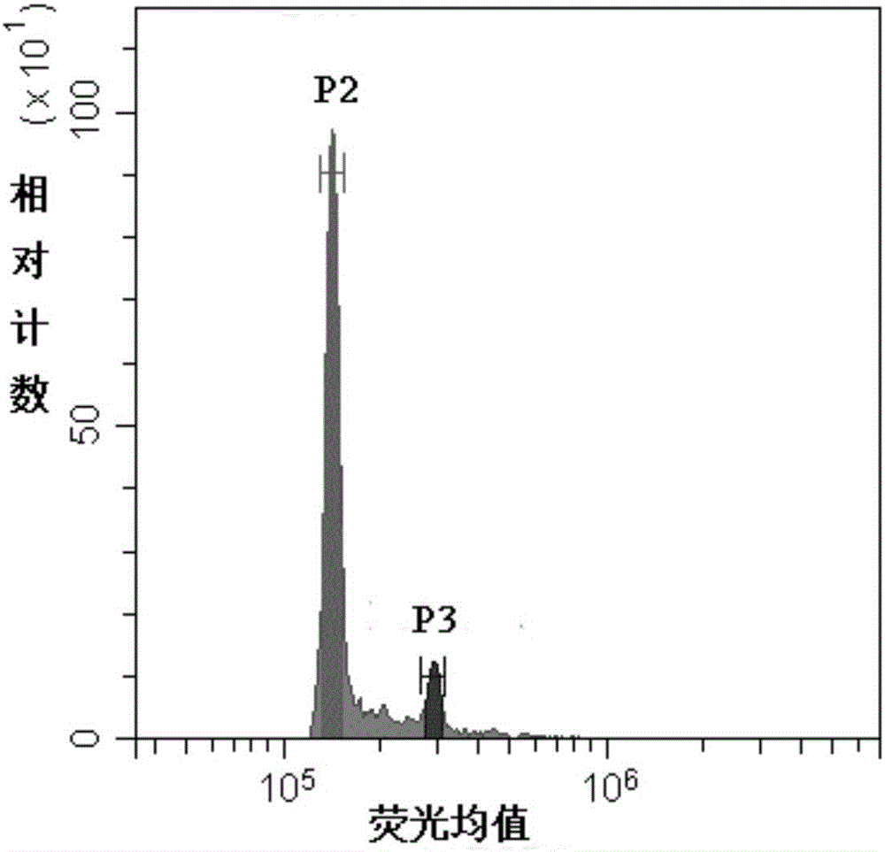 Eucalyptusurophylla*E. grandis flow-type detection method