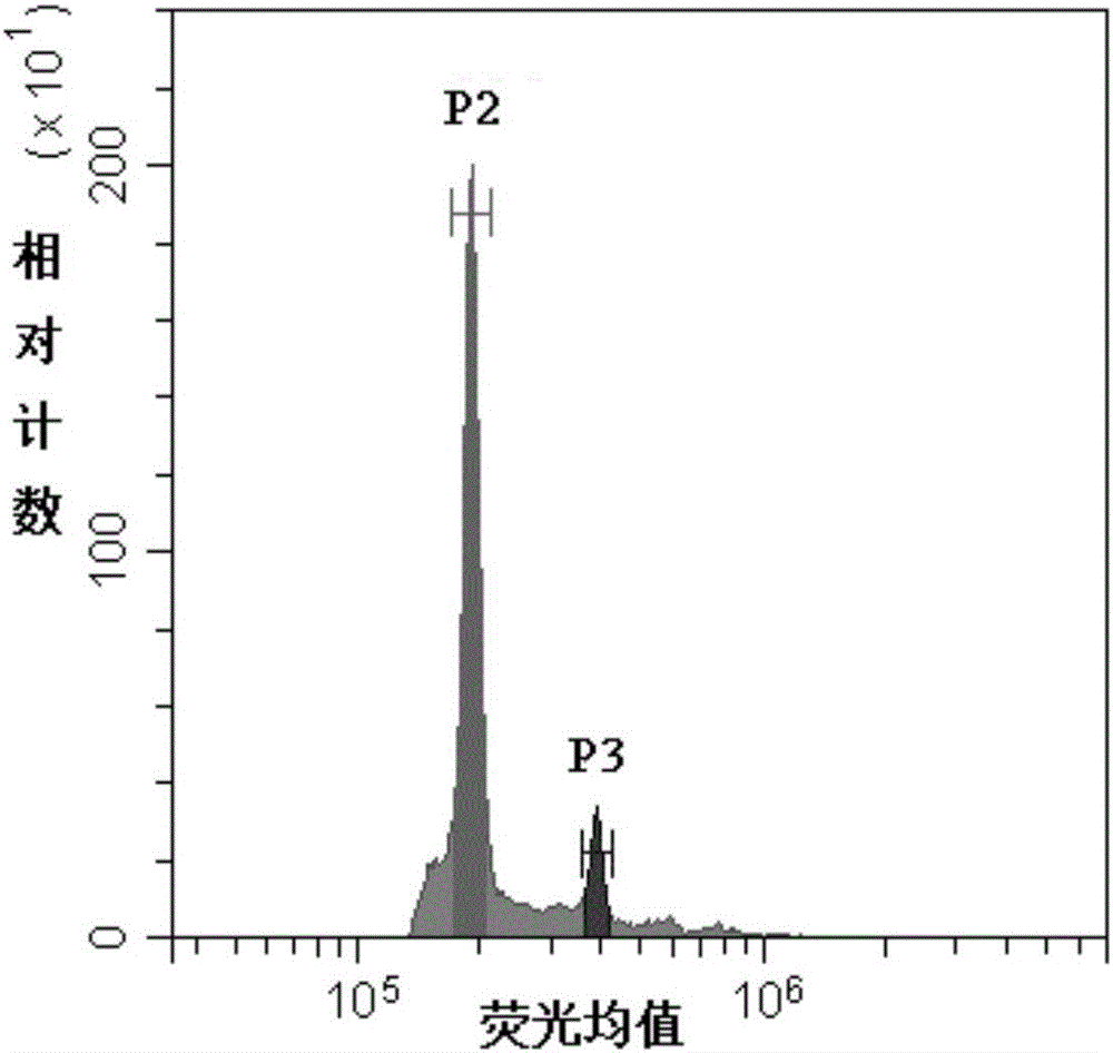 Eucalyptusurophylla*E. grandis flow-type detection method