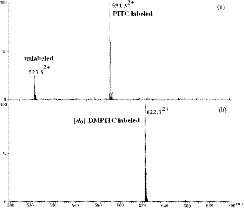 Isotope labeling reagent as well as preparation method and application thereof