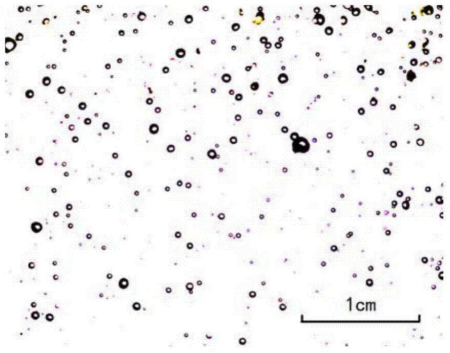 Microbubble generation device and use thereof