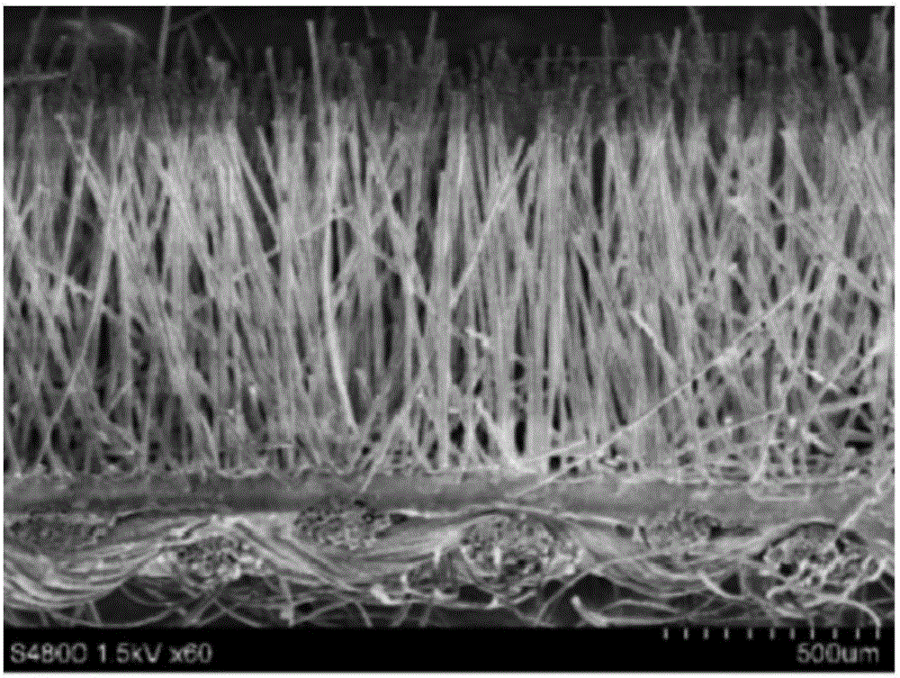 Fiber array cathode